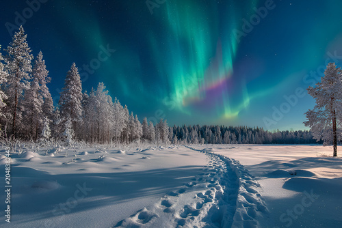 A breathtaking night scene features vibrant aurora borealis dancing above a snowy landscape with frosted trees and a path