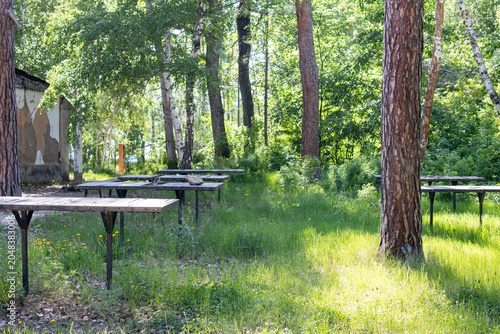 Foto Picnic tables among forest trees