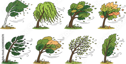Quadro su tela Windy weather vector set with various cartoon trees bending in strong storm wind