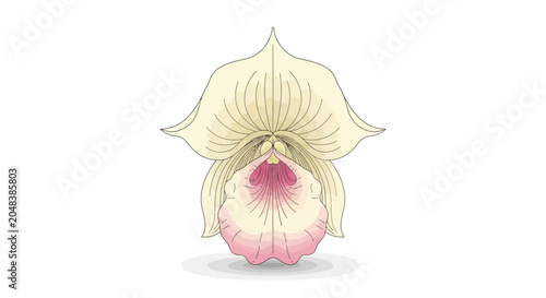 Bild auf Leinwand Closeup of a Pink Orchid Flower.