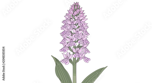 Canvastavla Lavender Flower with Green Leaves.