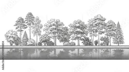 Bild auf Leinwand Collection of Trees in CAD Drawing with Reflection for Architectural Landscape D