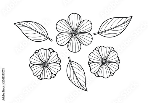 Fotografie Set of floral elements, hand drawn flowers and leaves in vintage style for decoration and design, isolated on white background, botanical illustration