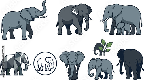 Photography Elephant Wildlife Collection Featuring African Elephants, Family Herds, Conserva