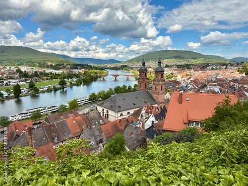 Miltenberg am Main von der Miltenburg aus 
