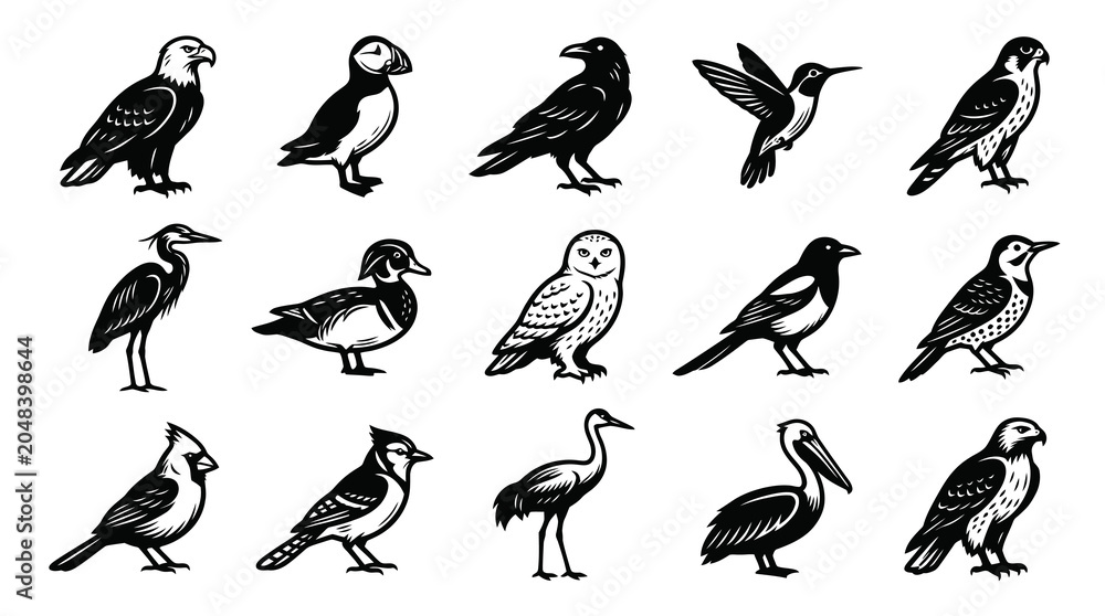Obraz premium Black and White Line Art Collection of Various Birds on White Background