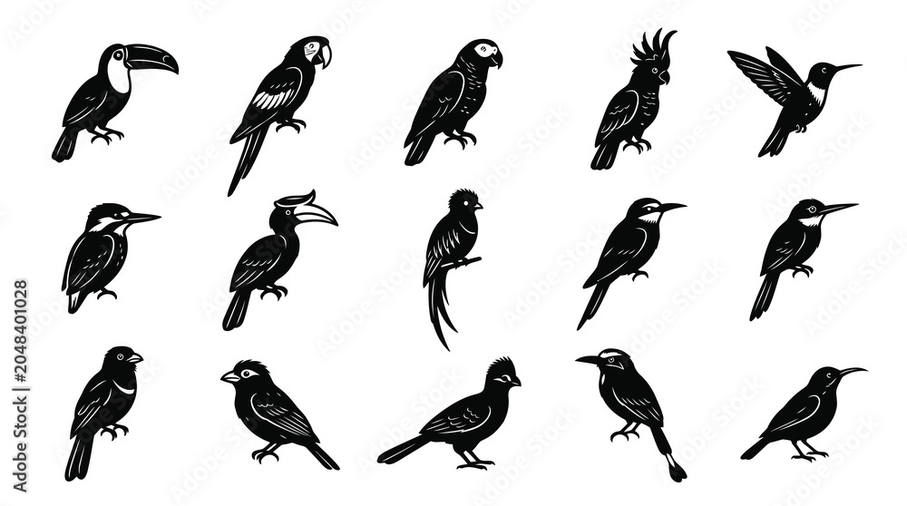 Obraz premium Nature Wildlife Birds Black and White Glyph Illustration Set - Diverse Avian Species Icons Collection.
