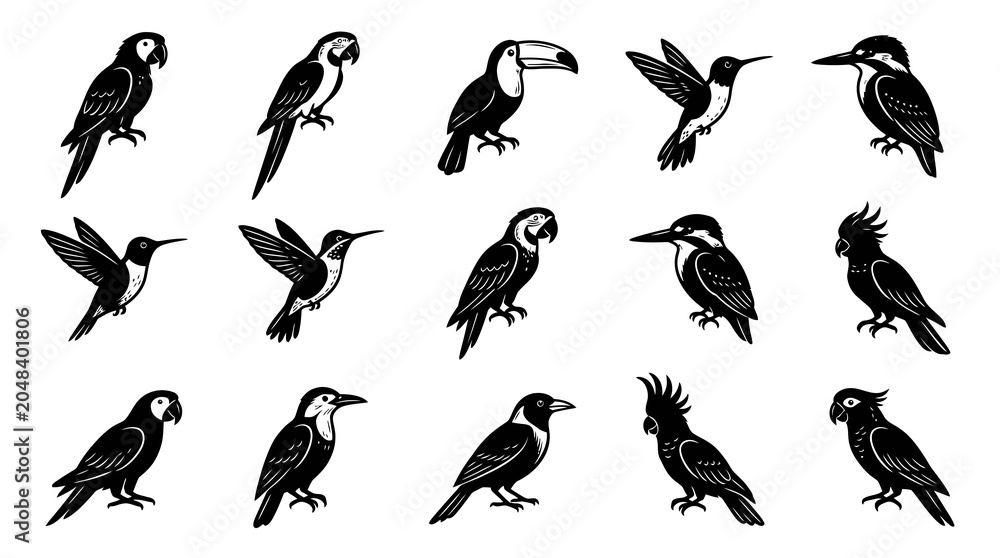 Obraz premium Diverse Bird Species Black and White Vector Illustrations Set for Nature, Wildlife, and Ornithology Designs