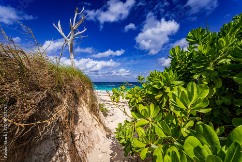 Tropical beach access framed by lush coastal vegetation and white sand dunes on Great Guana Cay, Bahamas, with turquoise Caribbean waters and dramatic blue skies in the background.