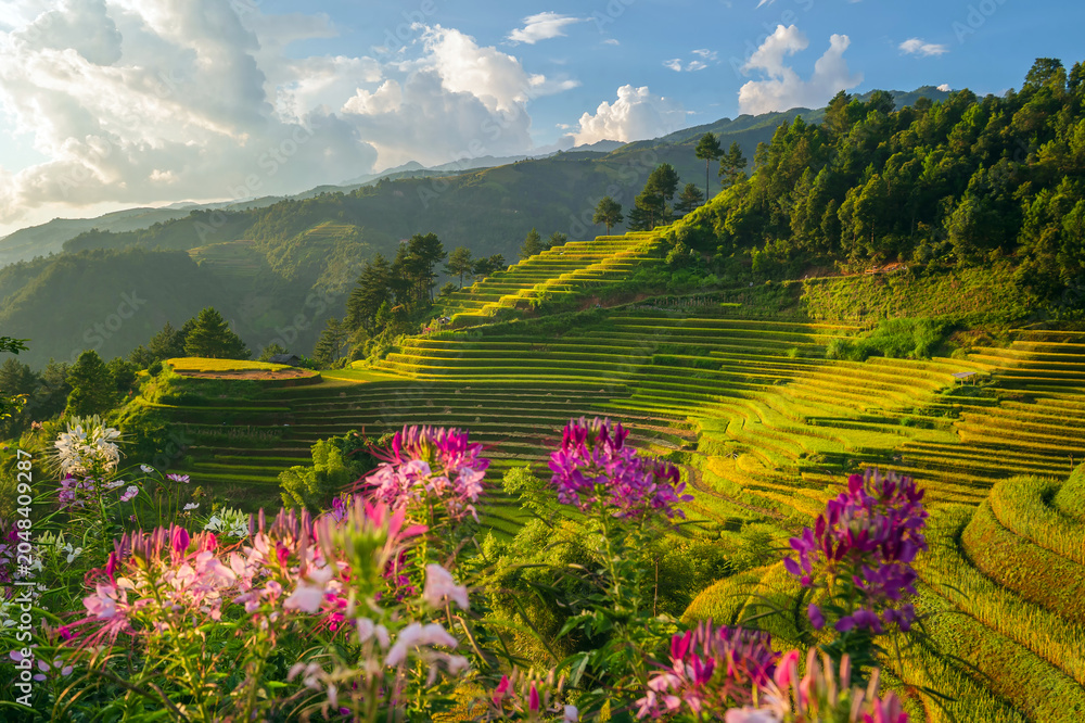 Obraz premium Natural and urban views of Vietnam
