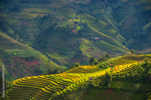 Natural and urban views of Vietnam