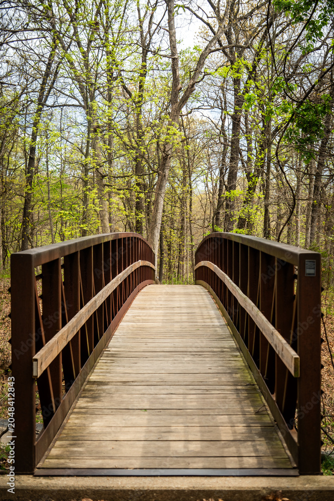 Obraz premium Wooden forest bridge over a trail