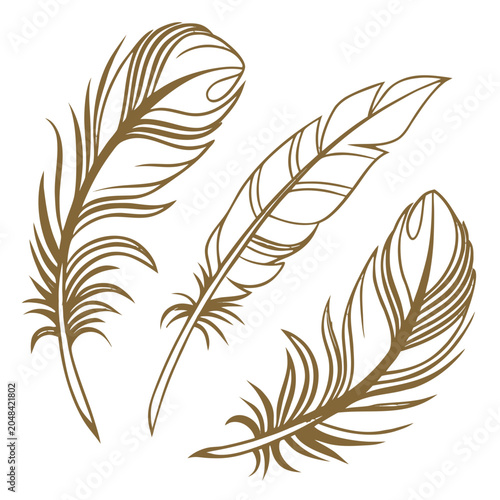 feather vector illustration