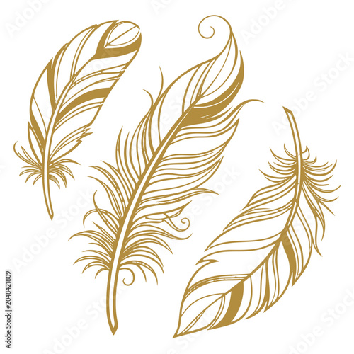 set of feathers vector