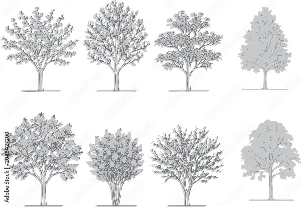 Fototapeta premium Flowering Ornamental Trees Vector Collection Botanical Line Art