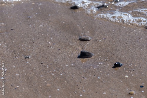 Coastal Tranquility: Sandy Shoreline Adorned with Pebbles and Seashells