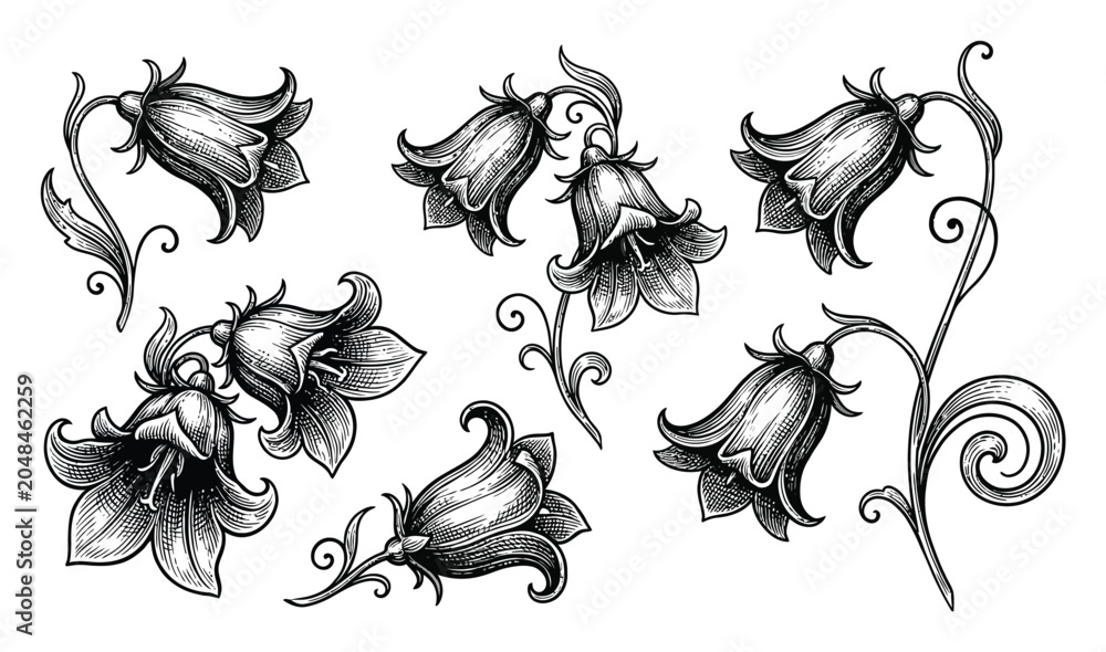 Obraz premium Vintage Floral Elements Vector Illustration