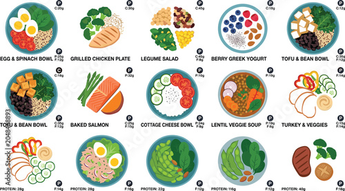Healthy diet macronutrient portion guide infographic vector illustration showcasing high protein meal options and macro tracking for fitness app and wellness blog marketing