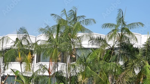 Lush green palm trees swaying against a modern white tropical building under a clear blue sky, ideal for travel and luxury resort themes.