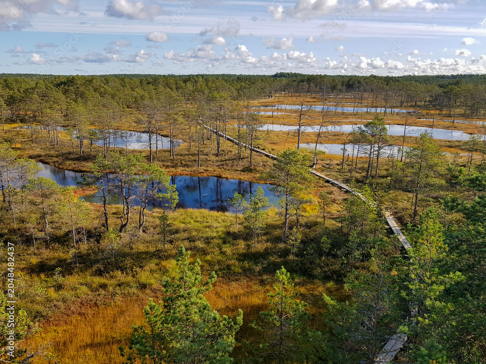 Naklejka premium High angle view of a wooden boardwalk winding through a scenic bog landscape with lakes.