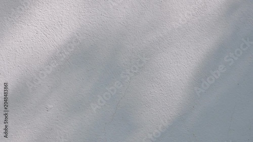 Soft, natural leaf shadows dancing on a white textured concrete wall, creating an aesthetic abstract background.
