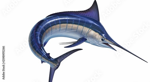 Azure Dart: Oceanic Majesty in Sharp Focus