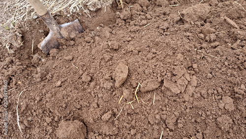 Foto Organic farming