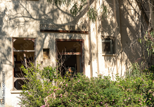 Photos An abandoned overgrown hotel braided with beautiful flowering plants