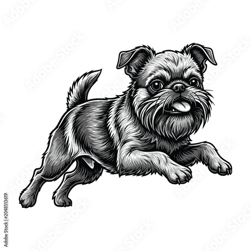 Cute small dog running forward with tongue out