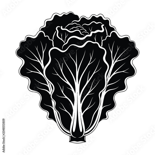 Chinese Cabbage Napa Cabbage Vegetable Icon Silhouette Isolated on a Plain White Background