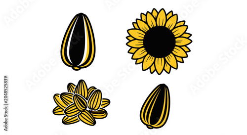 Tableau sur toile Sunflower seeds and flower illustration.
