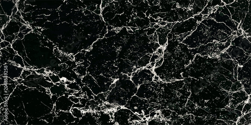 Schilderij op canvas Abstract black and white marble texture, a sophisticated and elegant surface with intricate veining and a polished finish