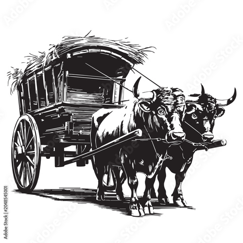 Vintage style black and white illustration of a pair of oxen pulling a traditional wooden covered wagon