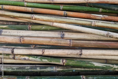 Close up overhead shot of green and brown stacked bamboo poles.