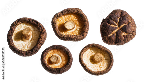 Quadro su tela Isolated dried shiitake mushrooms, savory gourmet Asian food ingredient, organic