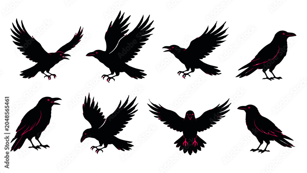 Obraz premium Set of black crow silhouettes in flying and standing poses