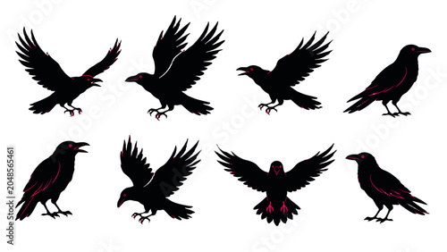 Bild auf Leinwand Set of black crow silhouettes in flying and standing poses