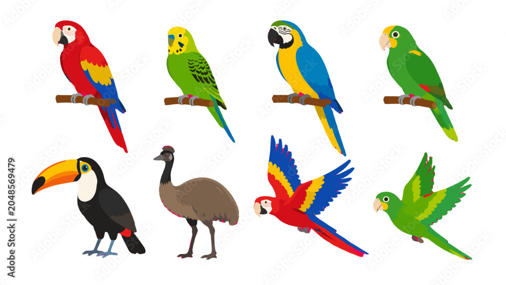 Obraz premium Colorful tropical bird collection with parrots toucan and emu