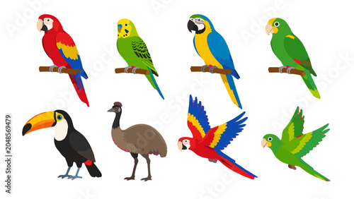 Foto Colorful tropical bird collection with parrots toucan and emu