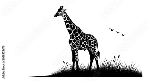 Obraz na plátne giraffe vector illustration