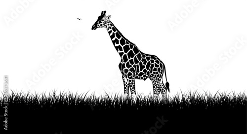Tableau sur toile giraffe vector illustration
