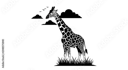 giraffe