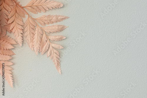 Tableau sur toile Minimalist Scandinavian and Boho style front view composition with pink dry botanical fern branch on textured background, copy space