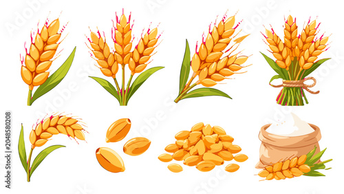 Foto Set of wheat ears, grains and flour sack vector illustration