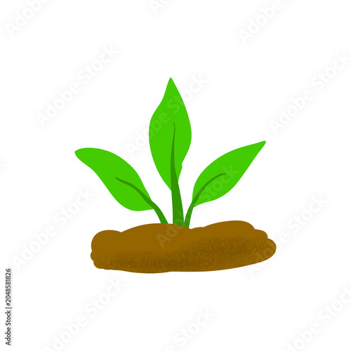 Green Sprout Growing from Brown Soil