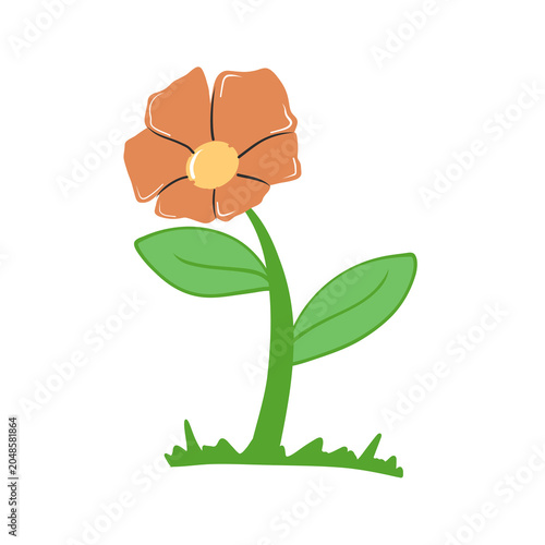 Cute Orange Flower with Green Leaves and Grass