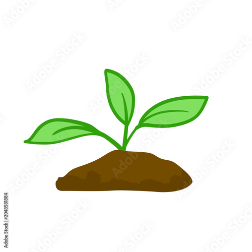 Young Green Plant Sprouting from Brown Soil