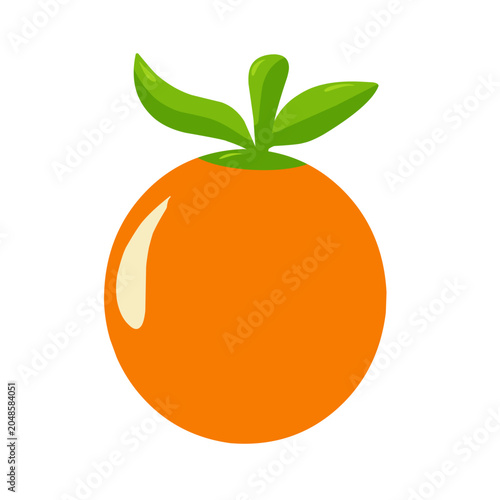 orange fruit vector illustration, Fresh Orange Fruit Flat Vector Illustration Isolated on White Background