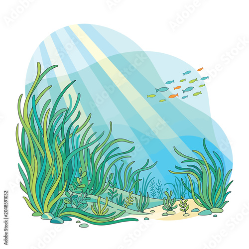 Colorful illustration of underwater seaweed.