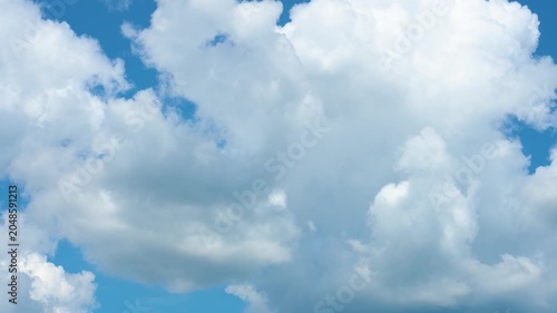 timelapse of white clouds and flying birds in a blue sky